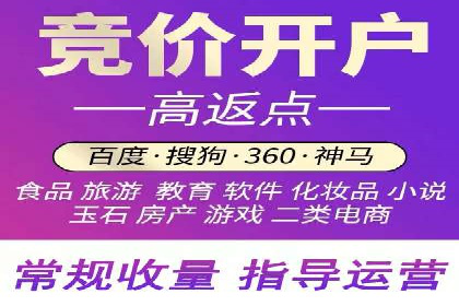 搜索引擎营销（SEM）公司某某的客户成功故事